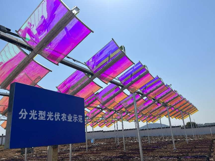 向陽而生，與光共舞——高資100MW光伏項目破土成章，勻光分光間書寫"雙碳"詩行